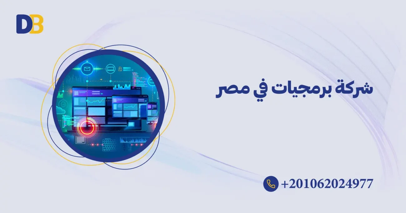 شركة برمجيات في مصر